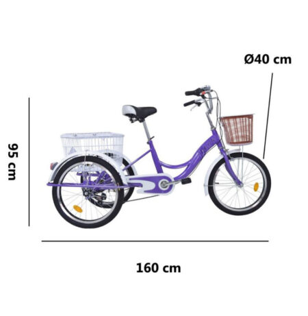Triciclo terapéutico E Bike eléctrico. medidas 2