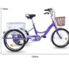 Triciclo terapéutico E Bike eléctrico. medidas 3