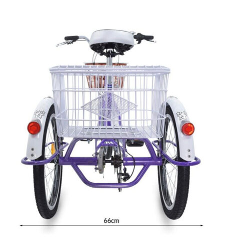 Triciclo terapéutico E Bike eléctrico. medidas 4