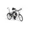 triciclos terapeuticos momo 1